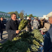 В Мамадыше стартовали сельскохозяйственные ярмарки