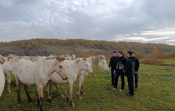 Ученики Усалинской школы побывали на экоферме «Берсут»