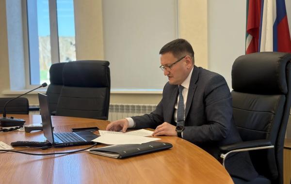 Мамадышский район заявил о своём инвестиционном потенциале на международной видеоконференции