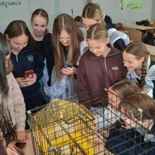Школьники Мамадыша познакомились с профессией ветеринара