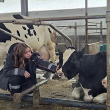 «С коровами не бывает скучно»: студентка-ветеринар проходит практику в Мамадыше