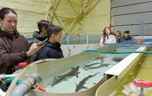 Шестиклассники из Мамадыша познакомились с работой осетрового цеха
